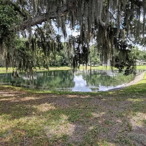 thumbnail for publication: A Database on Trait-Based Selection of Stormwater Pond Plants